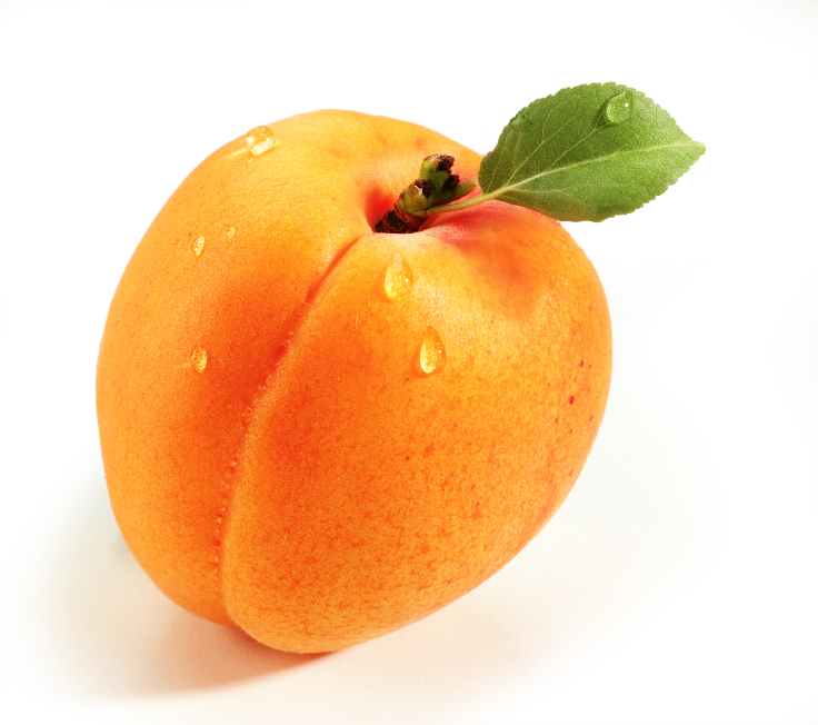 Aprikosen lagern » Das sollten Sie beachten