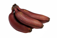 Bananen Sorten