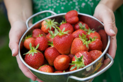Erdbeeren aufbewahren