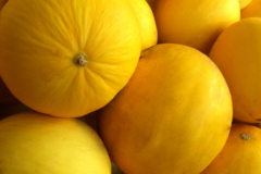 Honig Melone Obst oder Gemüse