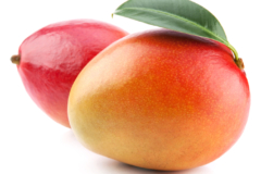Mango Zitrusfrucht