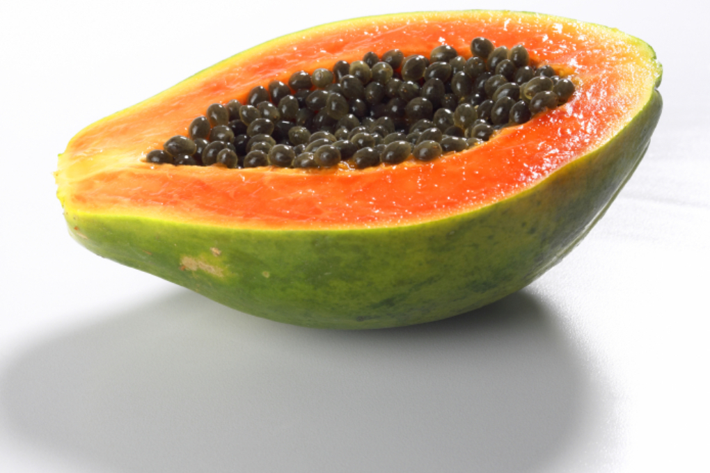 papaya-z-chten-so-schaffen-sie-die-besten-bedingungen
