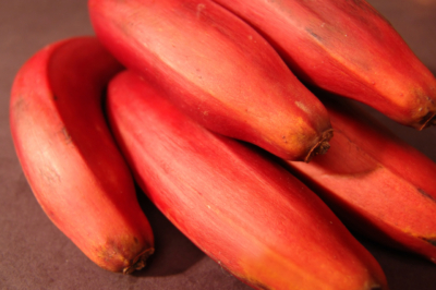 Rote Banane