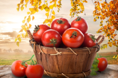 Auf welche Kauffaktoren Sie als Kunde vor dem Kauf bei Tomaten entkernen Acht geben sollten!
