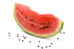 Wassermelone Samen