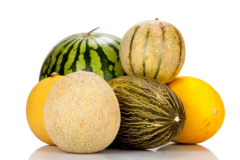 Die besten Produkte - Wählen Sie die Wassermelone pflanze entsprechend Ihrer Wünsche