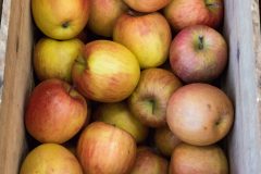 Eine Reihenfolge unserer besten Apfel pressen