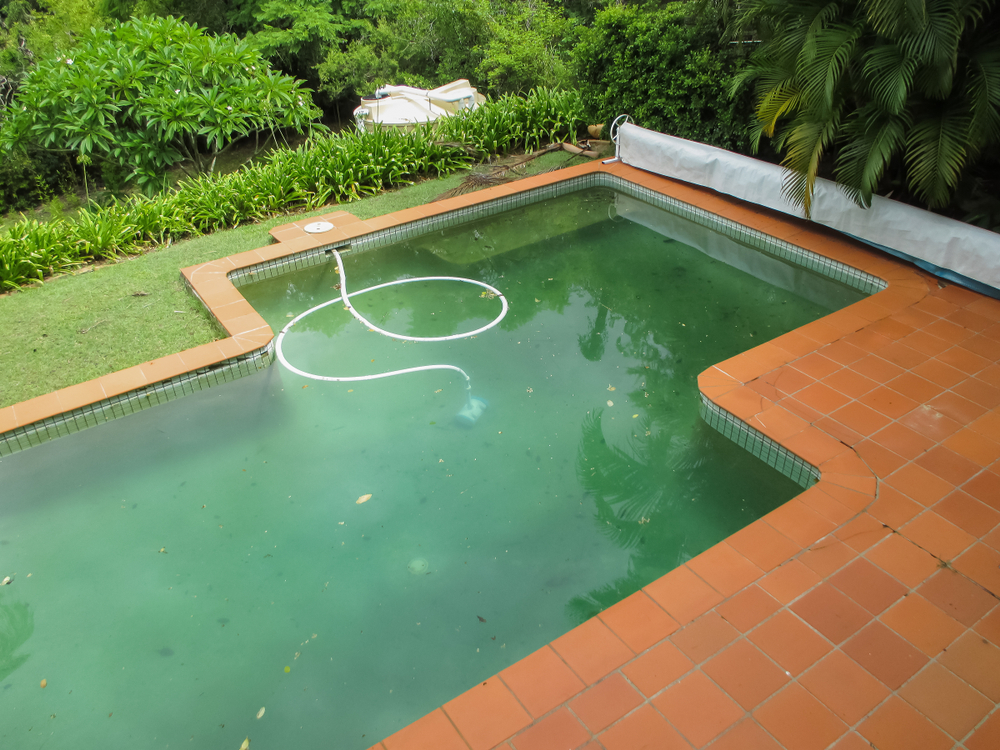 Gefährlich pool wasser grün Poolwasser milchig
