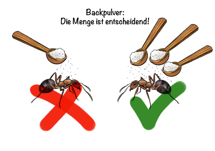 Ameisen in der Küche: Backpulver - Die Menge ist entscheidend!