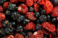 Cranberries getrocknet - Die besten Cranberries getrocknet ausführlich analysiert