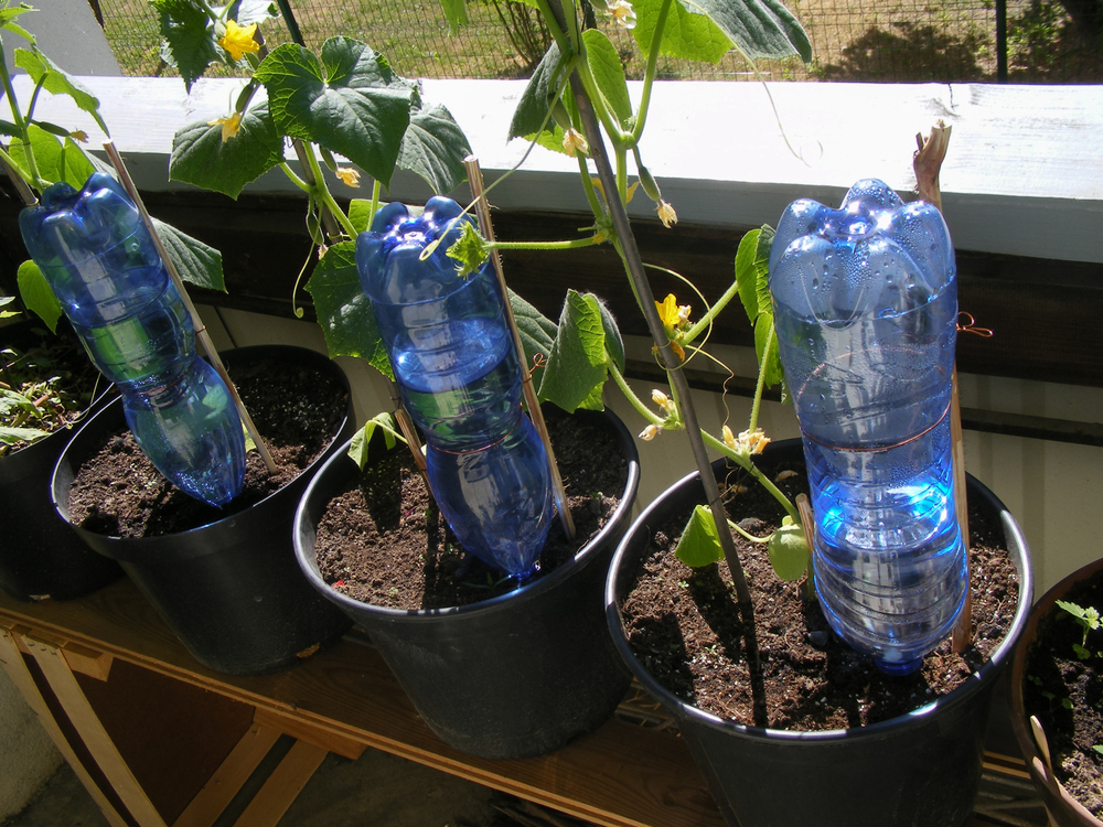 Automatisch Bewässerung Pflanzen Wasserspender für Zimmerpflanzen Topfpflanzen 