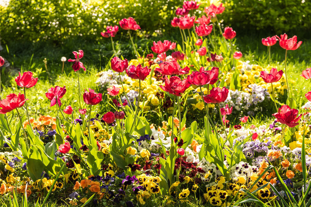 Blumen im Garten pflanzen » Schöne Ideen für Frühling & Sommer