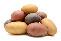 fruehkartoffeln-sorten