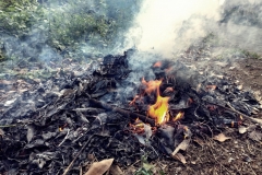 gartenabfaelle-verbrennen