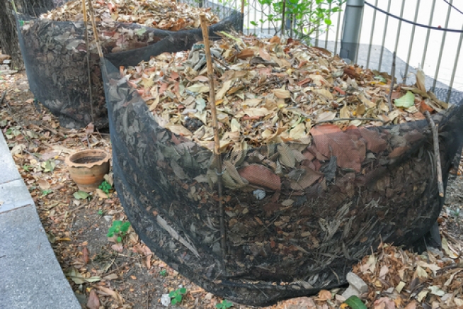 kompost-anlegen