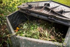 Mäuse im kompost - Der Favorit unserer Tester