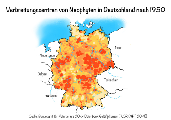 Neophyten: Verbreitungszentren von Neophyten in Deutschland anch 1950