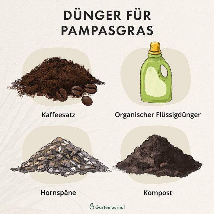 Übersicht von Düngern für Pampasgras als Illustration