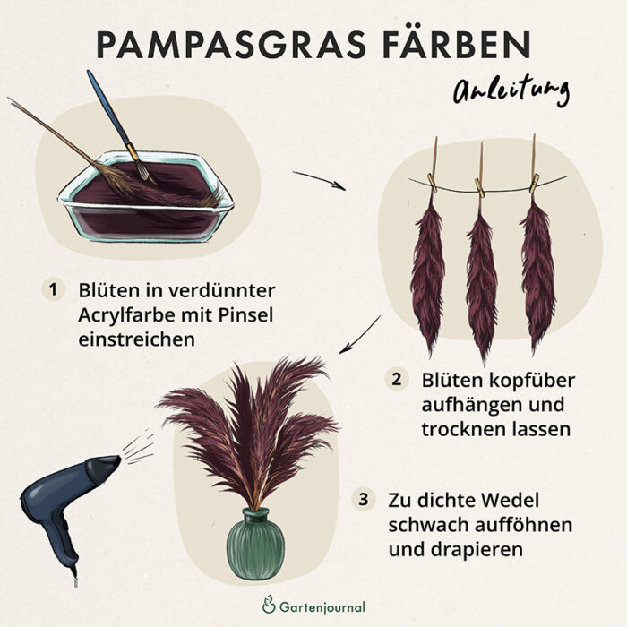 Anleitung, wie Pampasgras gefärbt wird als Illustration