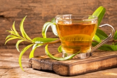Wespennest teebaumöl - Wählen Sie dem Testsieger