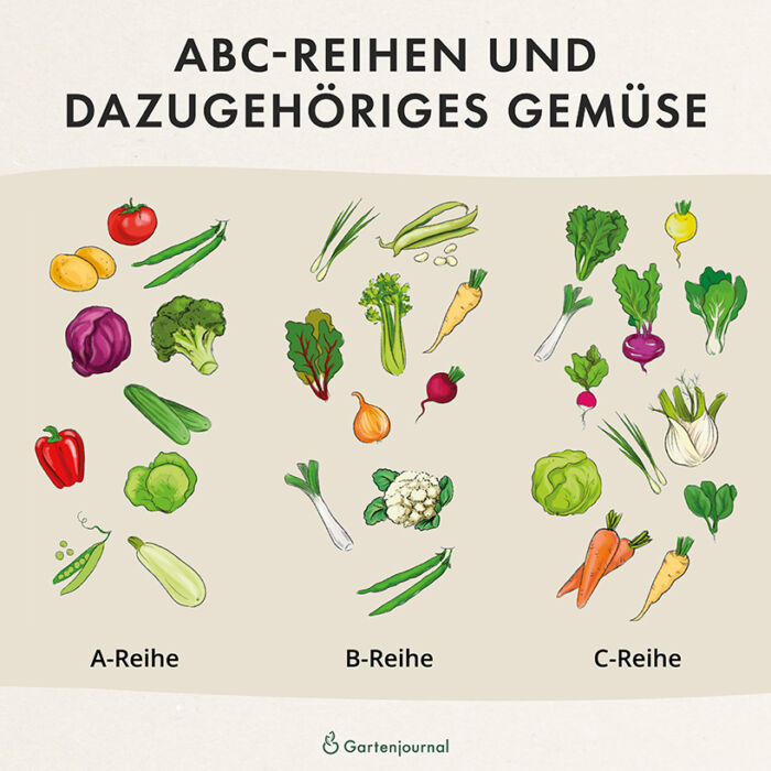 Gemüse Zuordnung der ABC-Reihen nach Gertrud Franck als Illustration