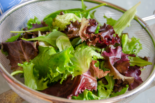 Salat pflanzen » Von der Aussaat bis zur Ernte