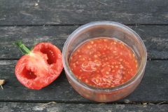 tomaten-entkernen