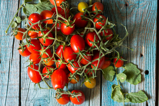 Auf welche Punkte Sie zuhause bei der Wahl von Primabella tomate achten sollten!