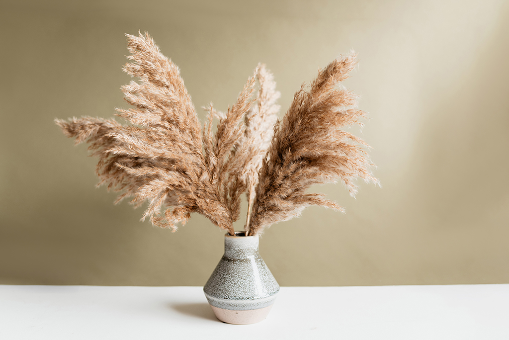 Zimmerpflanze Keramikvase Blumenvase für Wohnkultur Pampasgras Vase für